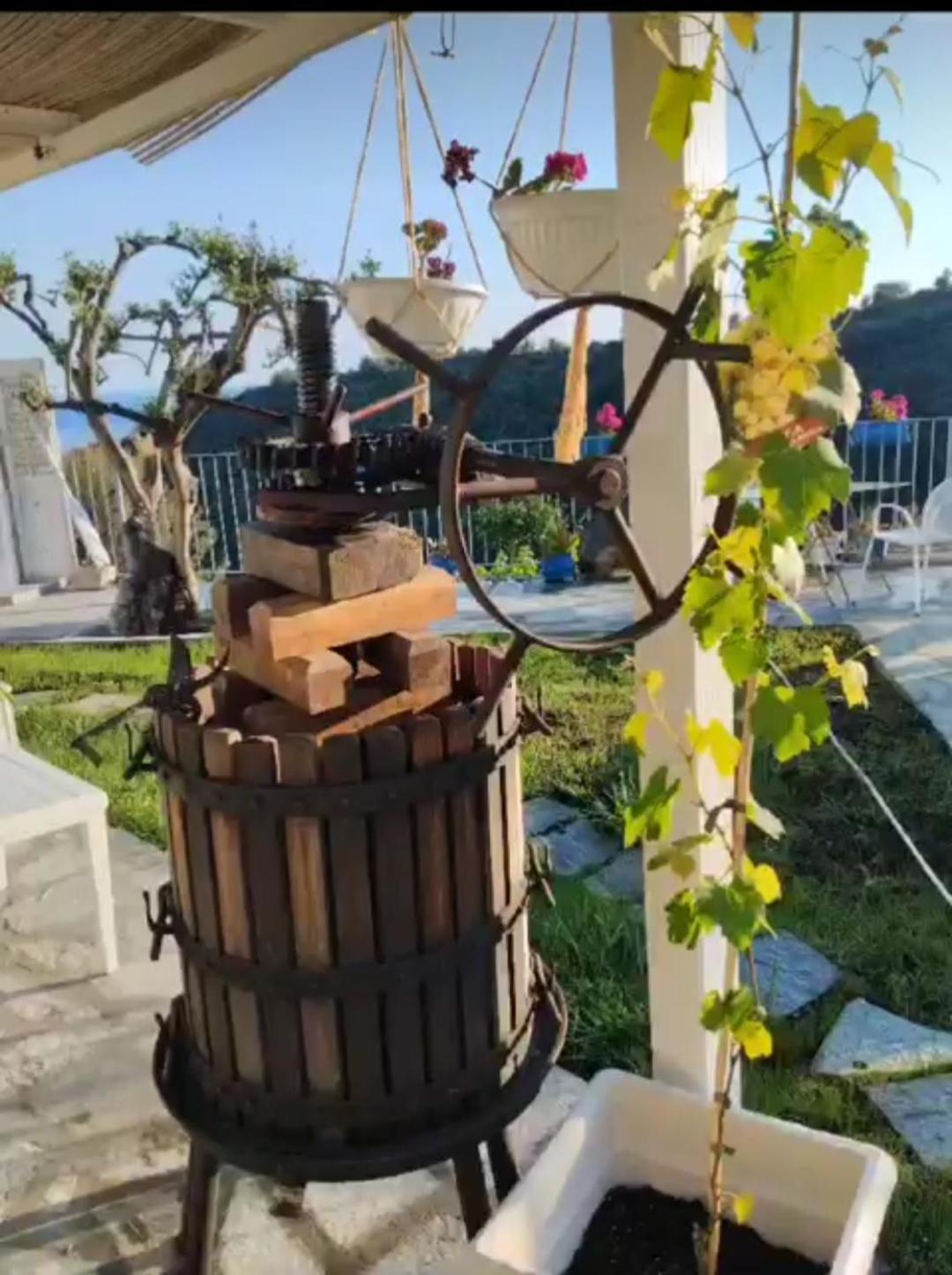 Message In A Bottle Bed And Breakfast Camporosso  Exterior foto