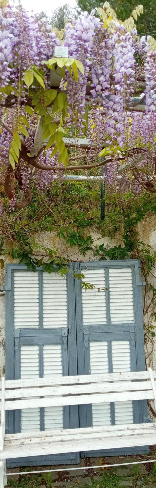 Message In A Bottle Bed And Breakfast Camporosso  Exterior foto